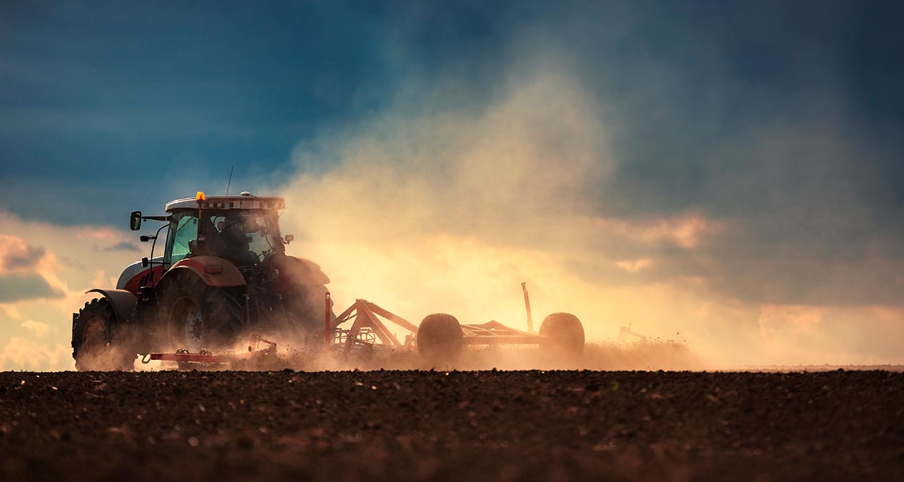 Llantas Firestone para el progreso del campo
